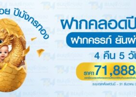 แพ็คเกจฝากคลอดปีมังปังทั้งปี ฝากครรภ์ยันผ่าคลอด(4 คืน 5 วัน)